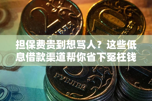 北京担保费贵到想骂人？这些低息借款渠道帮你省下冤枉钱