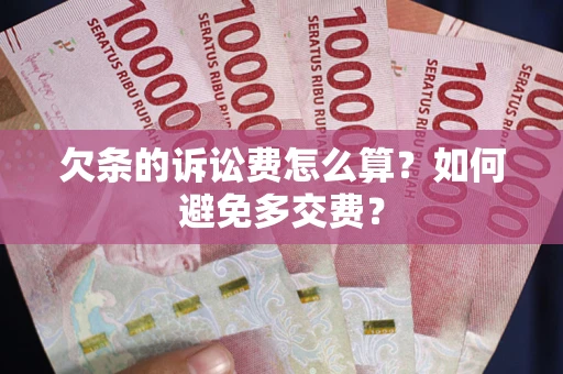 北京欠条的诉讼费怎么算？如何避免多交费？