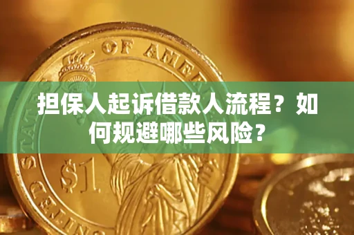 北京担保人起诉借款人流程？如何规避哪些风险？