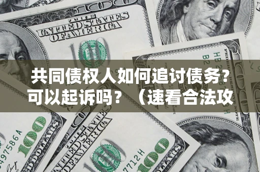 北京共同债权人如何追讨债务？可以起诉吗？（速看合法攻略）