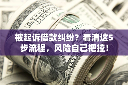 北京被起诉借款纠纷？看清这5步流程，风险自己把控！