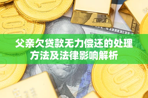 北京父亲欠贷款无力偿还的处理方法及法律影响解析